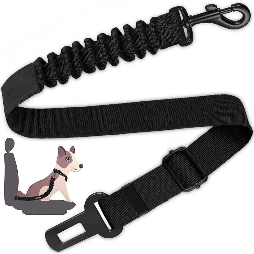 CINTURÓN DE SEGURIDAD PARA MASCOTAS| Viajes seguros para tu mejor amigo 🐾