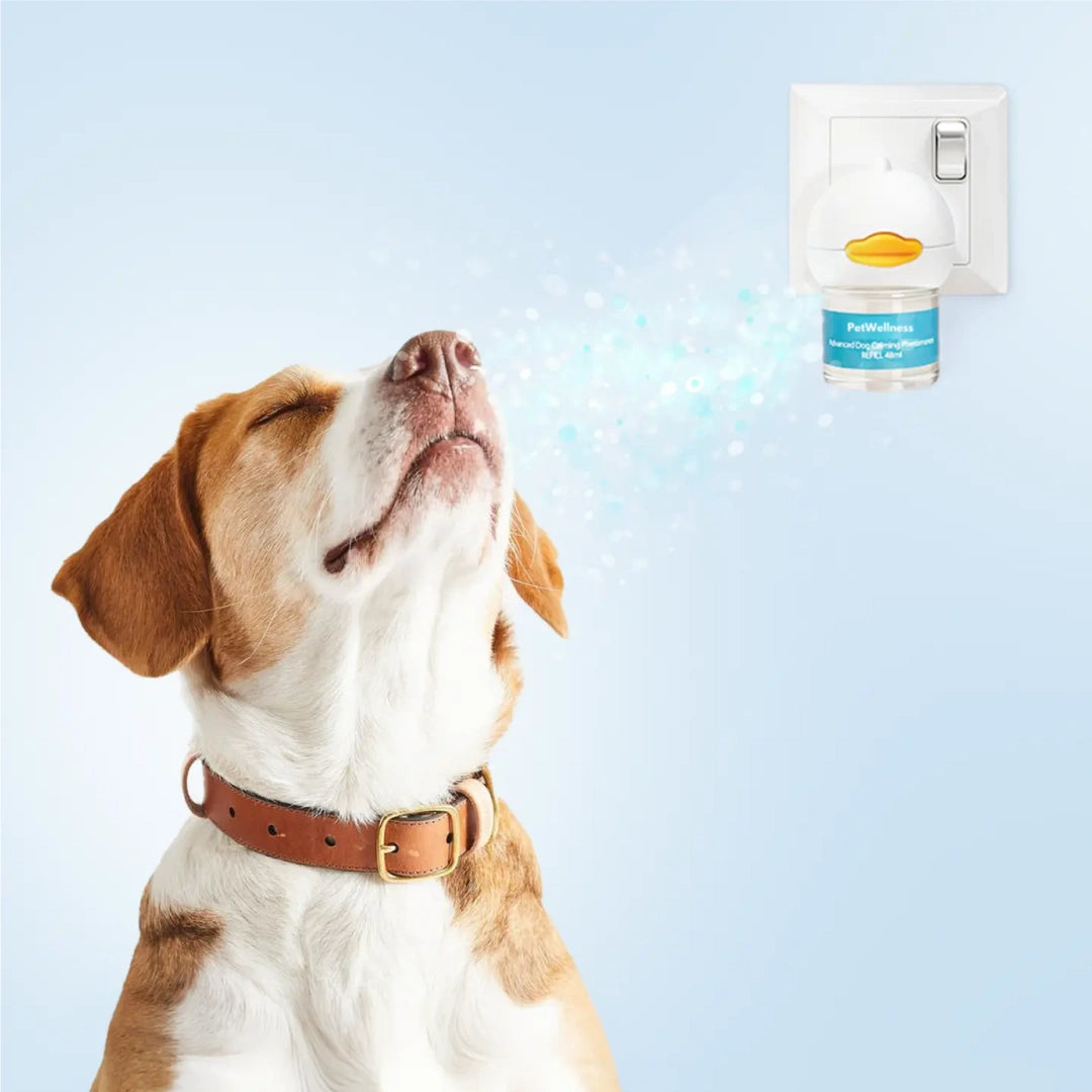 PETWELLNESS® | Feromonas avanzadas para calmar a las mascotas 🐾