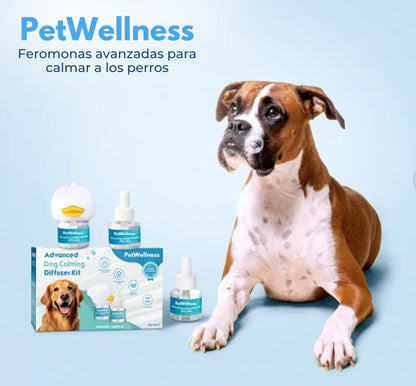 PETWELLNESS® | Feromonas avanzadas para calmar a las mascotas 🐾