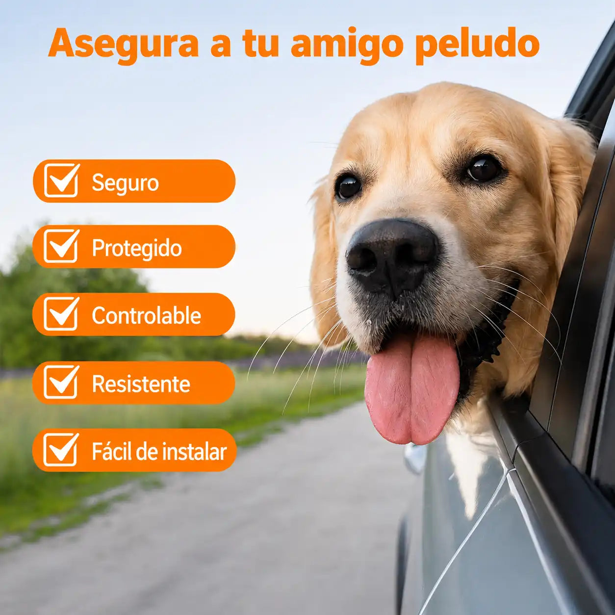 CINTURÓN DE SEGURIDAD PARA MASCOTAS| Viajes seguros para tu mejor amigo 🐾