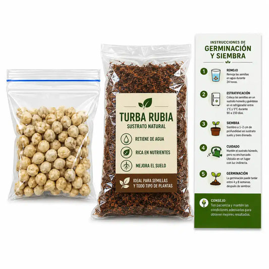 40 SEMILLAS DE FLOR DE CEREZO + TURBA RUBIA 🍒🌱
