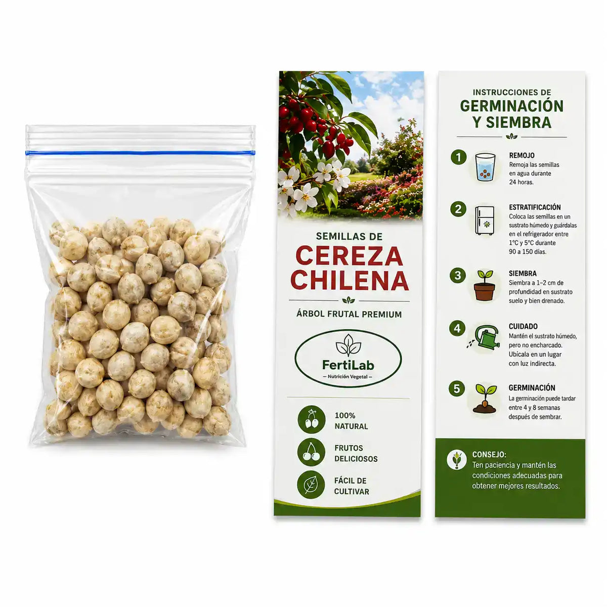 +40 SEMILLAS DE FLOR DE CEREZO 🍒