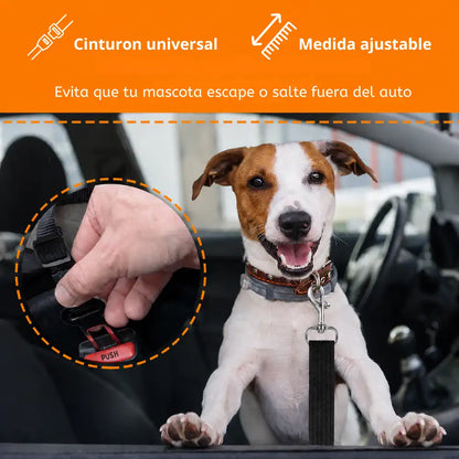 CINTURÓN DE SEGURIDAD PARA MASCOTAS| Viajes seguros para tu mejor amigo 🐾