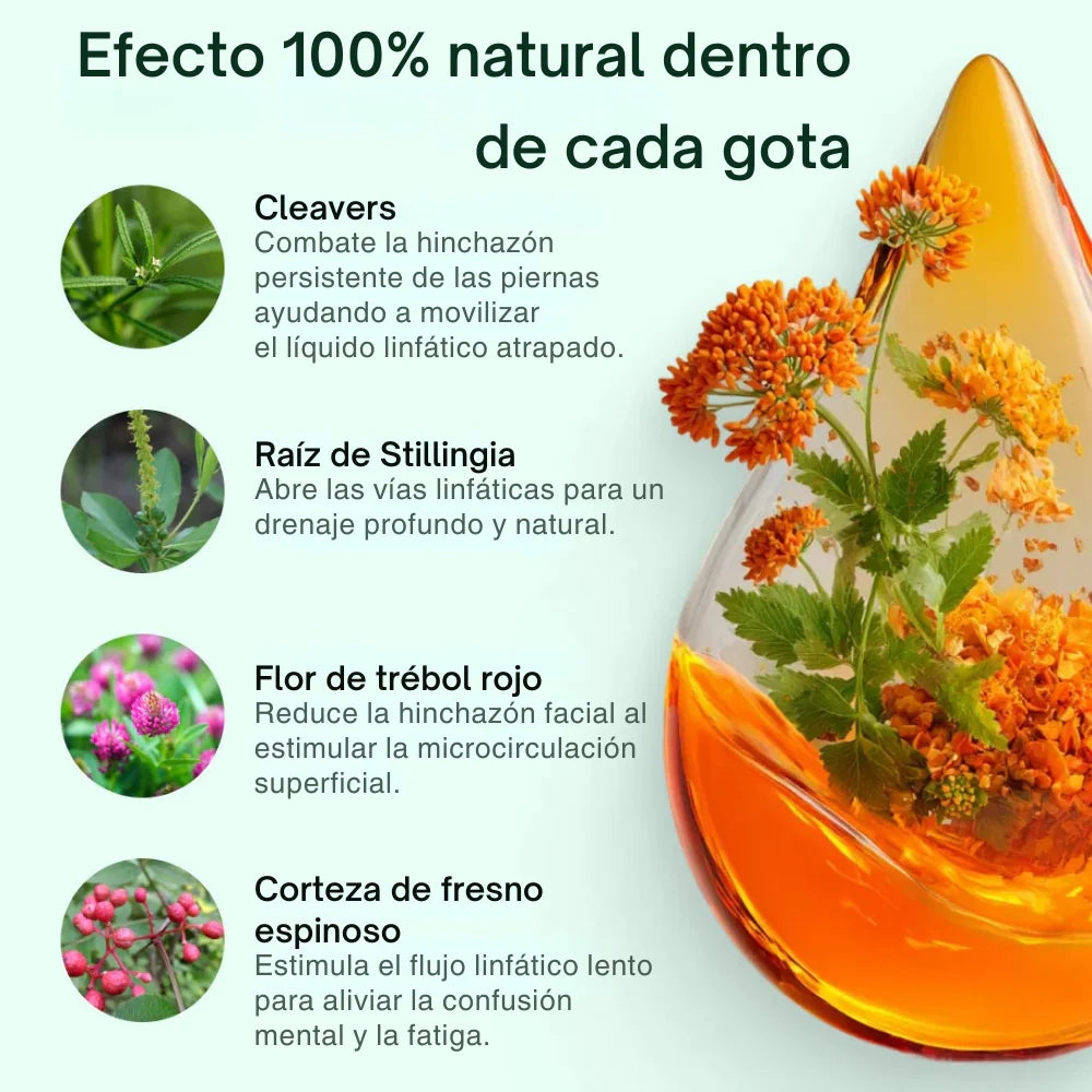 ULTRA DRAINER® | Sensación de ligereza y menos hinchazón en 16 días o menos 🍃🗓️