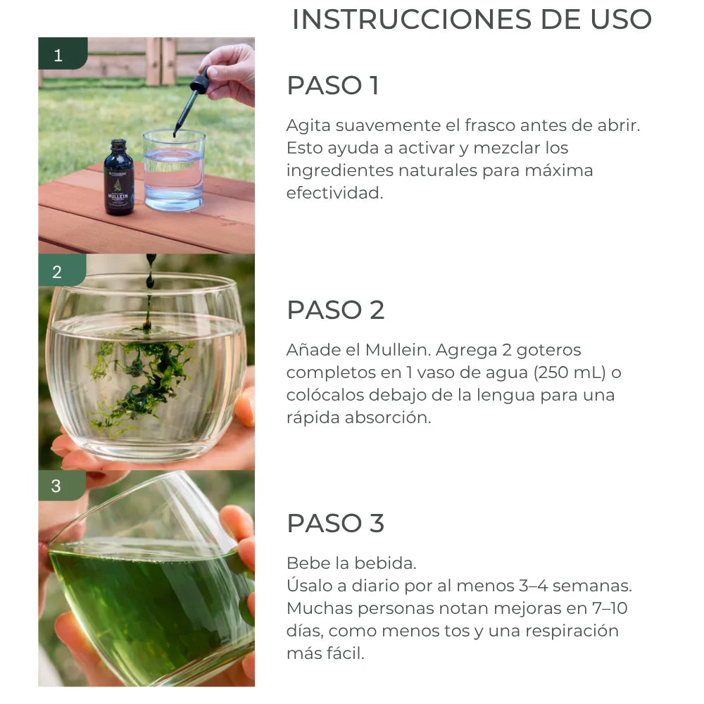 MULLEIN® | Limpia los pulmones de impurezas para una respiración más fácil.