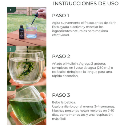 MULLEIN® | Limpia los pulmones de impurezas para una respiración más fácil.