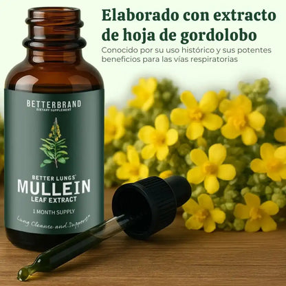 MULLEIN® | Limpia los pulmones de impurezas para una respiración más fácil.