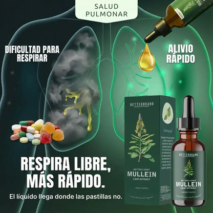 MULLEIN® | Limpia los pulmones de impurezas para una respiración más fácil.